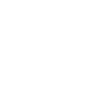 Vlad Exim Logo